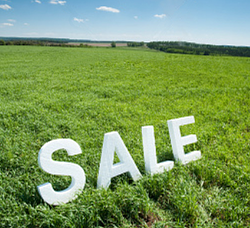 land-for-sale-1