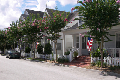 celebration_houses